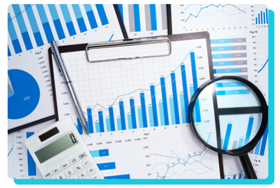 Freelance Consultant